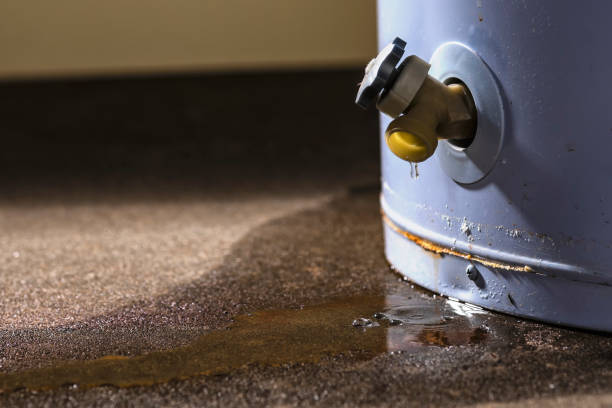 Best 24-hour water damage restoration  in Ada, OH