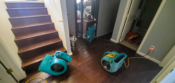 Best Emergency water damage restoration  in Ada, OH